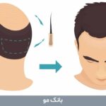 بانک مو
